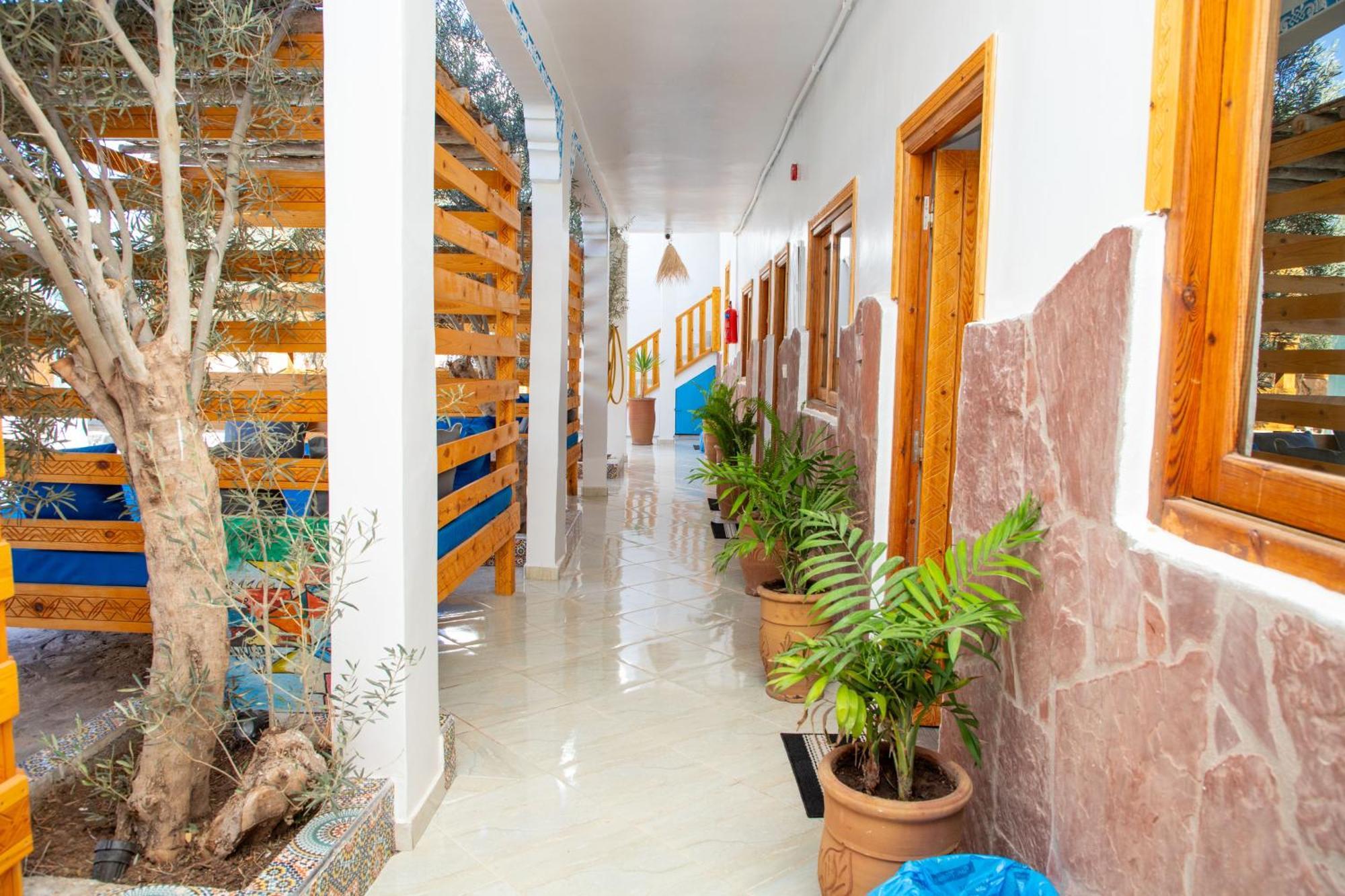 Single Fin Taghazout Surf & Stay المظهر الخارجي الصورة